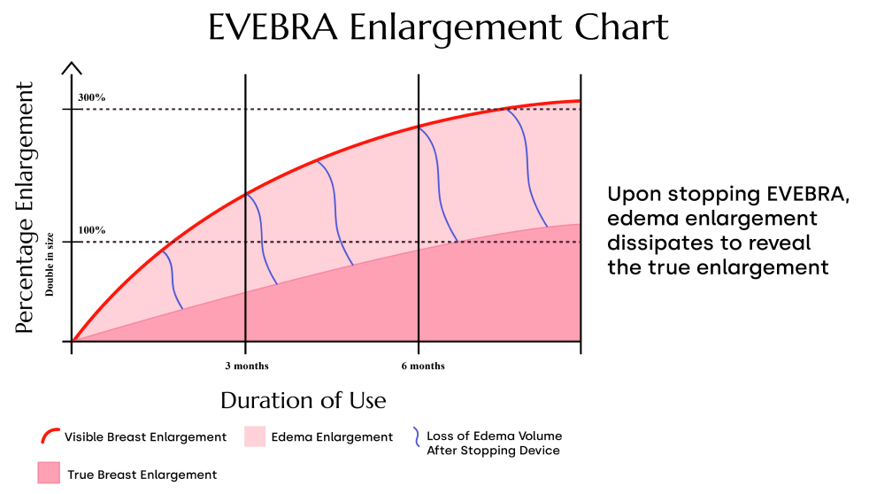 Original EVEBRA graph contrasting visible fullness during wear with a slower illustrative baseline