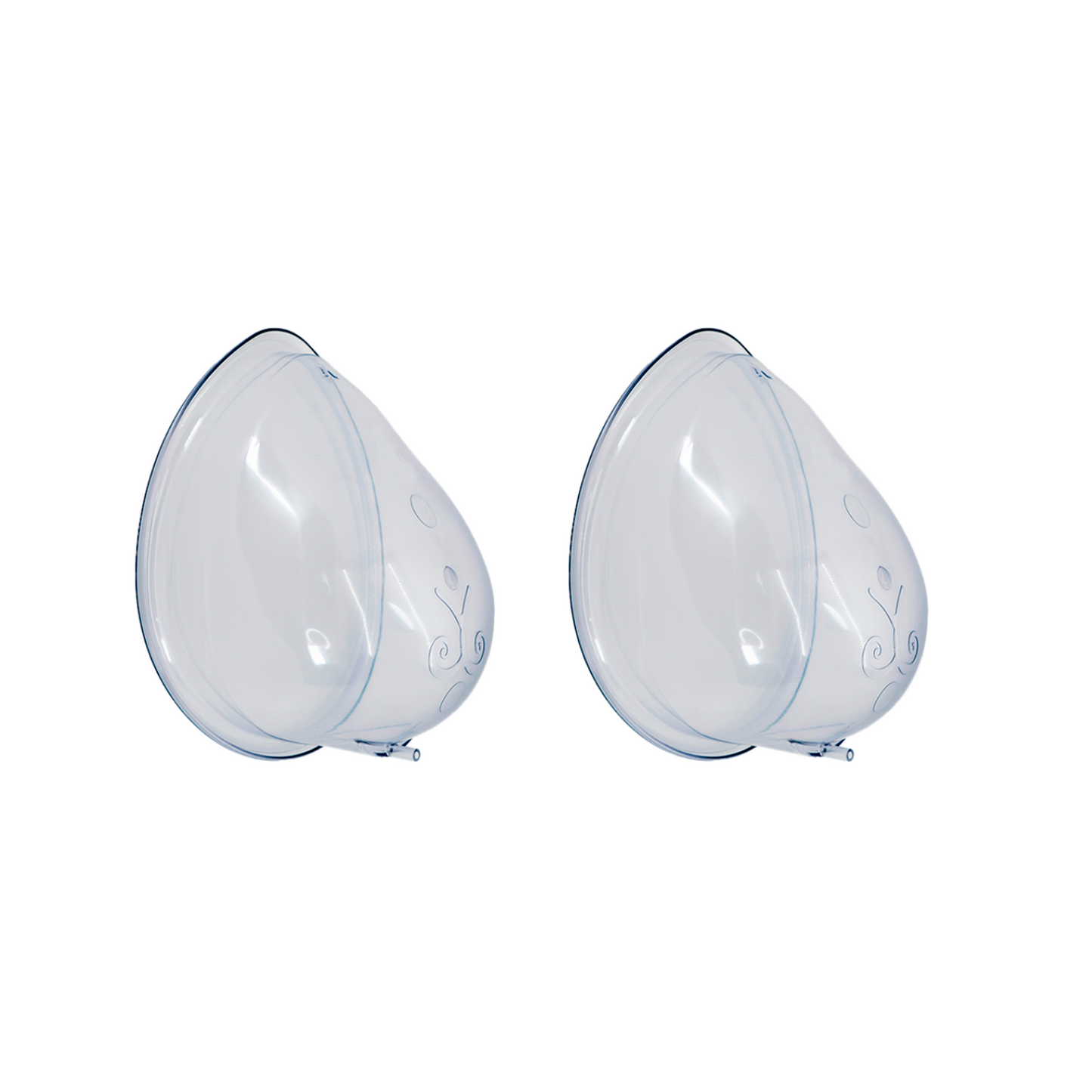 EVEBRA Domes Size 5